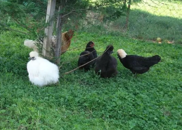 Lavanda 3 By Interhome Casa vacanze Porec