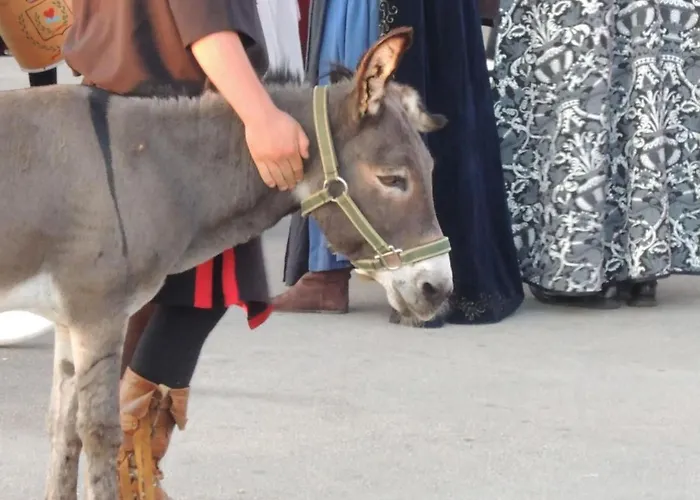 Lavanda 3 By Interhome * Porec